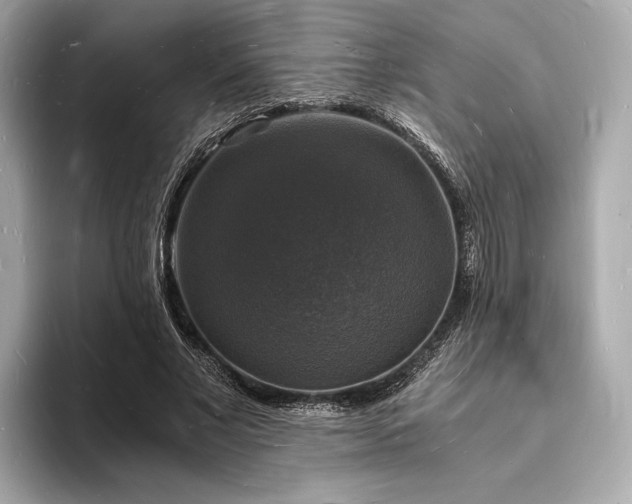 X0000094060685200710261226