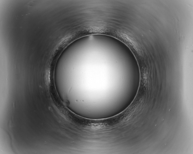 X0000094060686200710261226