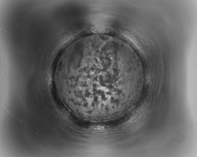 X0000094060687200710261226