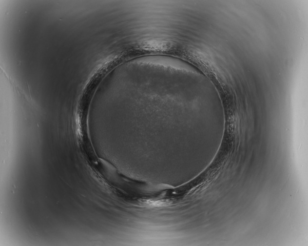 X0000094060688200710261226