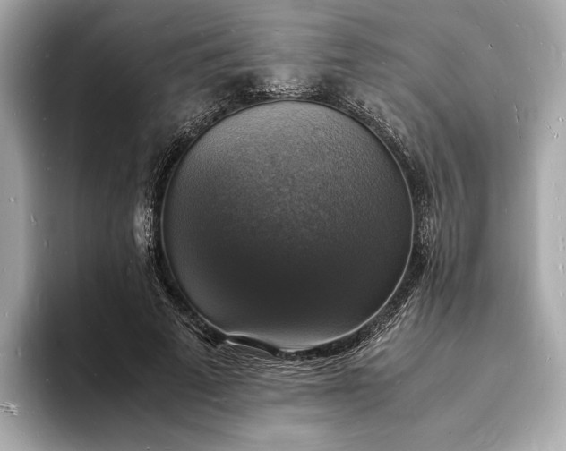 X0000094060689200710261226