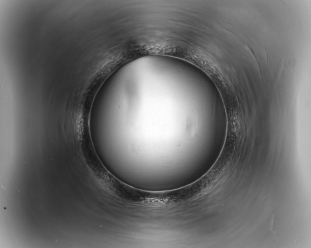 X0000094060690200710261226