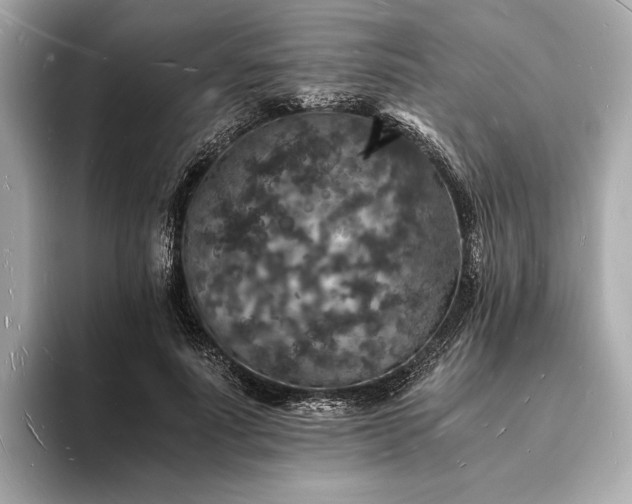 X0000094060691200710261226