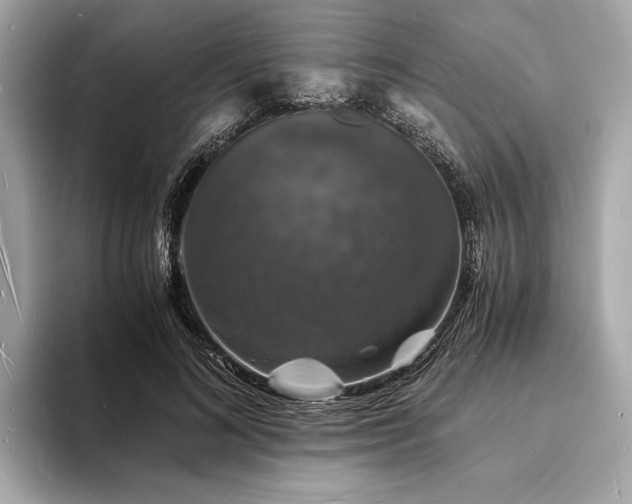 X0000094060692200710261226