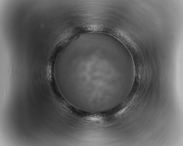 X0000094060696200710261226