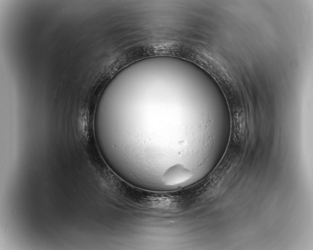 X0000094060698200710261226