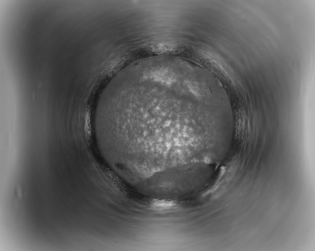 X0000094060700200710261226