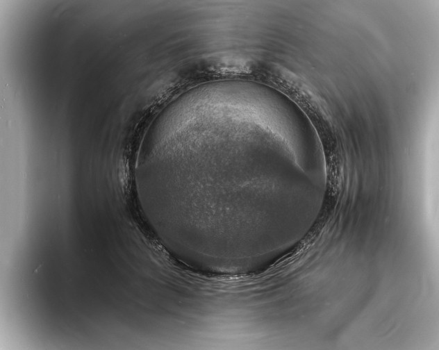 X0000094060704200710261226