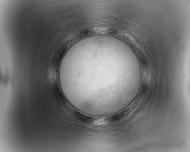 X0000094060705200710261226