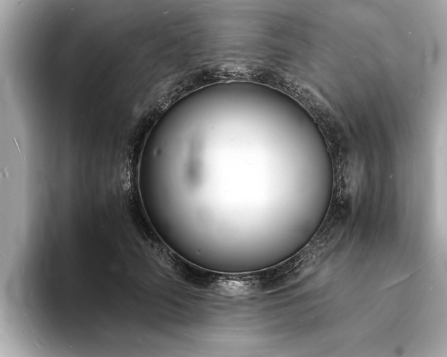 X0000094060706200710261226