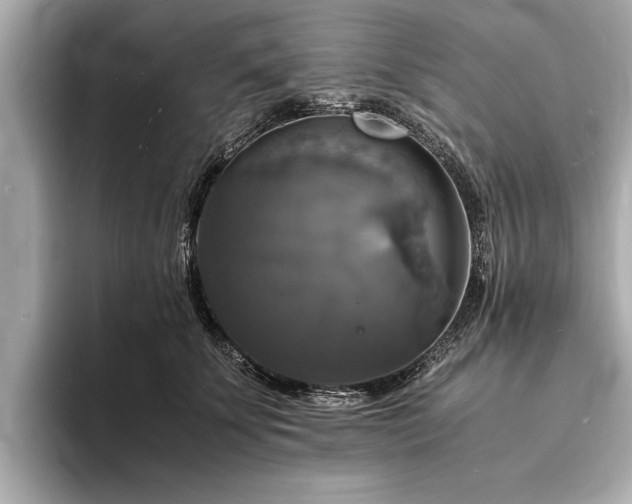 X0000094060707200710261225