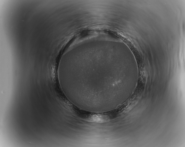 X0000094060708200710261225