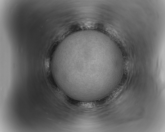 X0000094060709200710261225