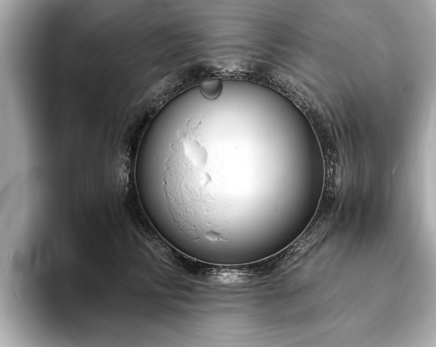 X0000094060710200710261225