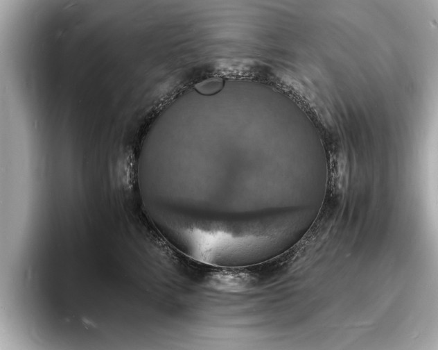 X0000094060712200710261225