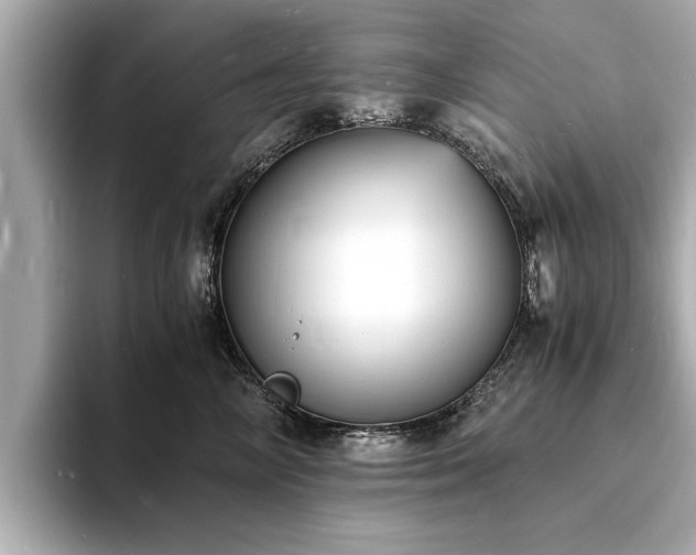 X0000094060714200710261225