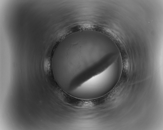 X0000094060715200710261225