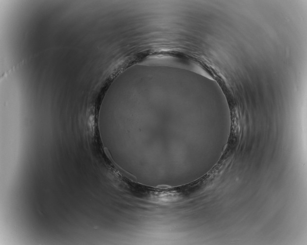 X0000094060716200710261225