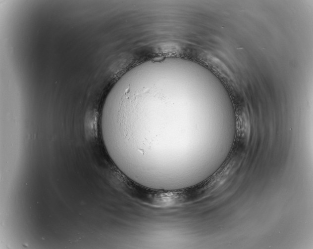 X0000094060717200710261225