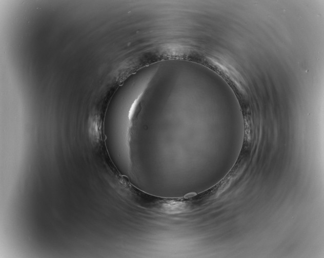 X0000094060718200710261225
