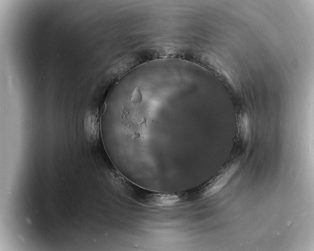 X0000094060719200710261225