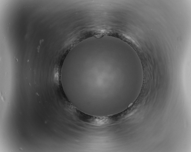 X0000094060720200710261225