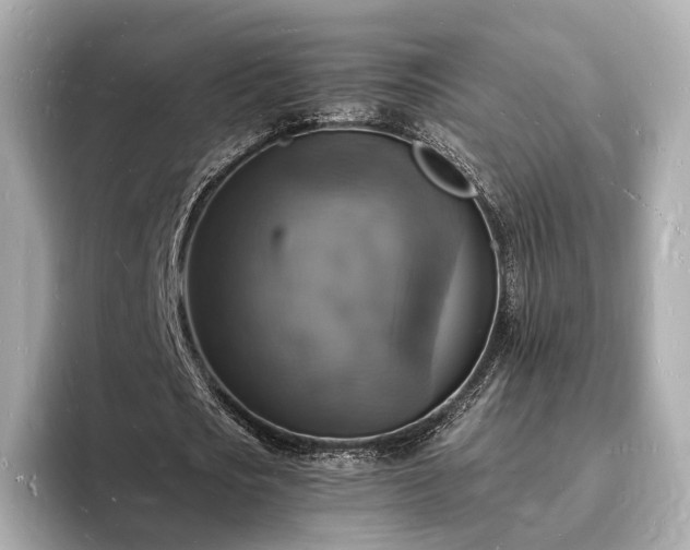 X0000094060721200710261225