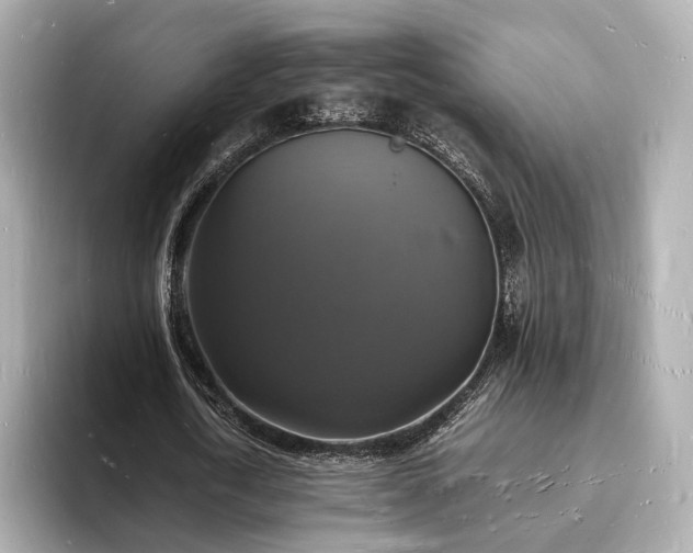 X0000094060722200710261225