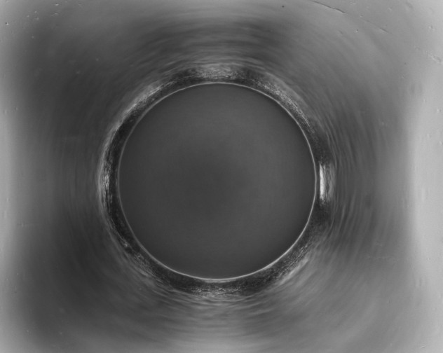 X0000094060723200710261225