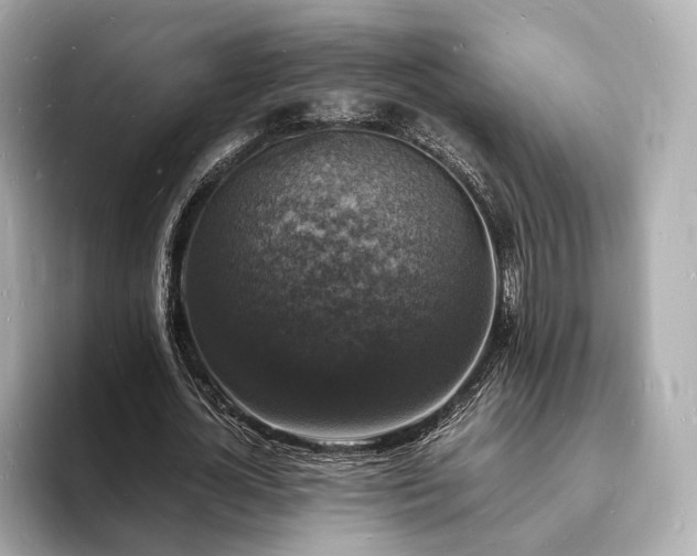 X0000094060724200710261225