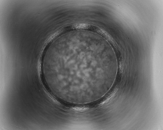 X0000094060725200710261225