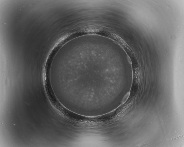 X0000094060726200710261225
