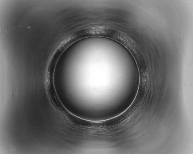 X0000094060727200710261225