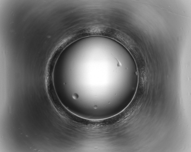 X0000094060728200710261225