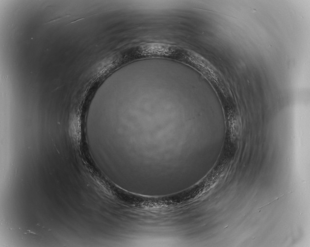 X0000094060729200710261225