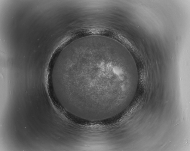 X0000094060730200710261225