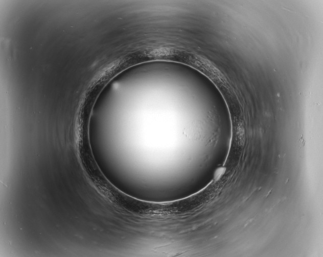 X0000094060732200710261225