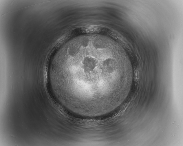 X0000094060733200710261225