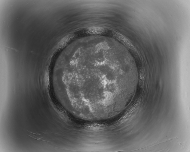 X0000094060734200710261225