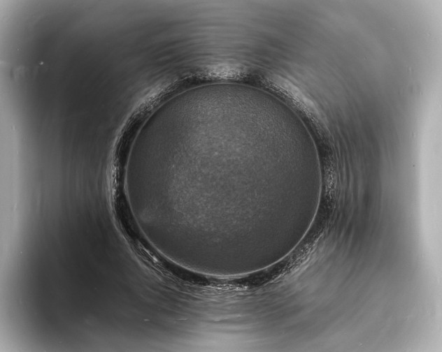 X0000094060736200710261225