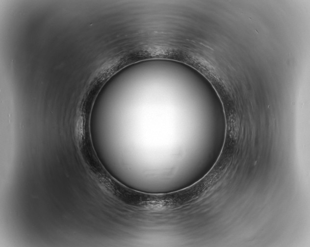 X0000094060740200710261225