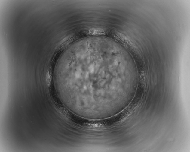 X0000094060741200710261225