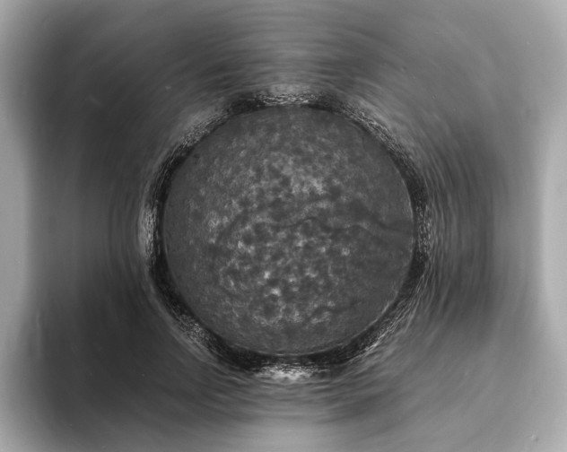 X0000094060742200710261225