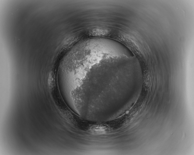 X0000094060743200710261225