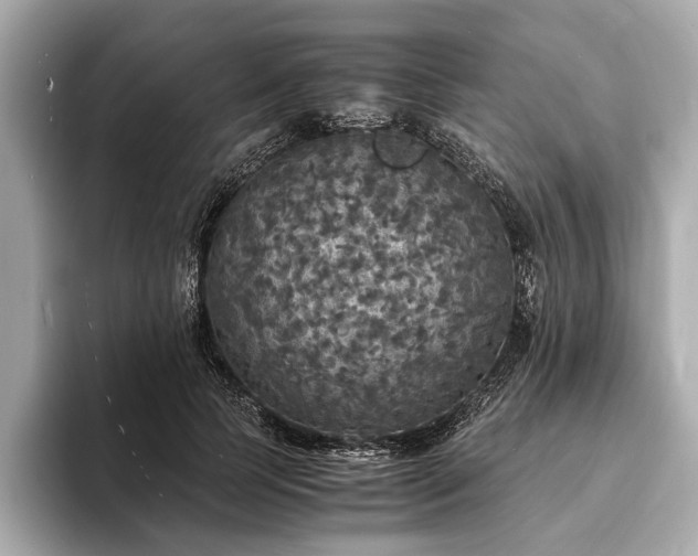 X0000094060745200710261225