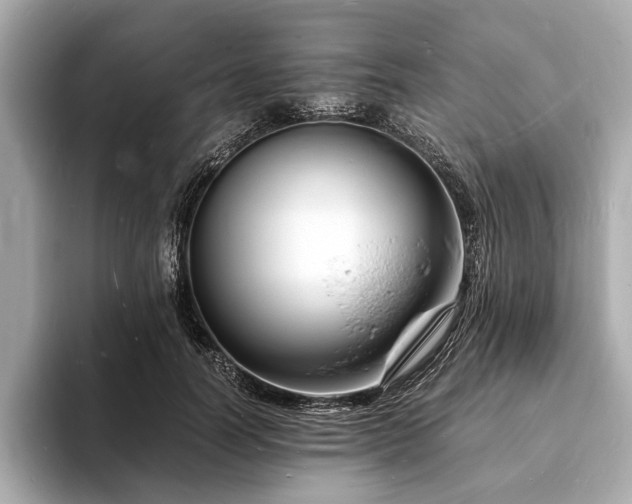 X0000094060746200710261225