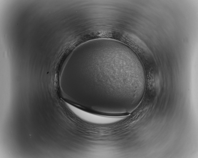 X0000094060748200710261225
