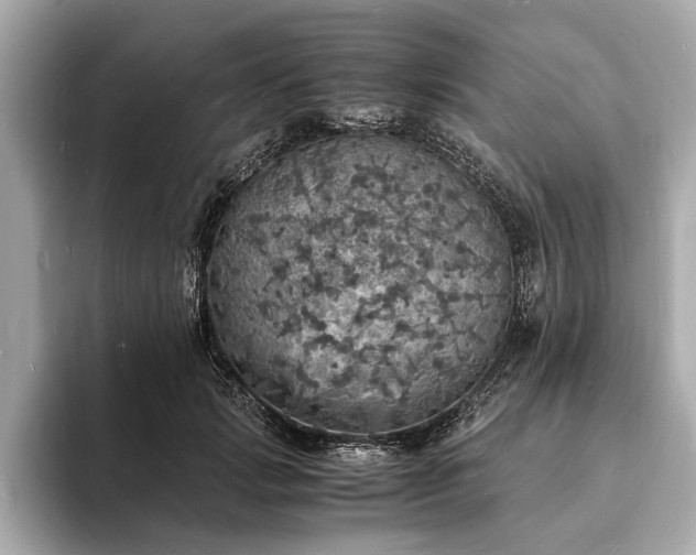 X0000094060749200710261225