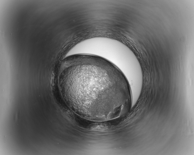 X0000094060750200710261225