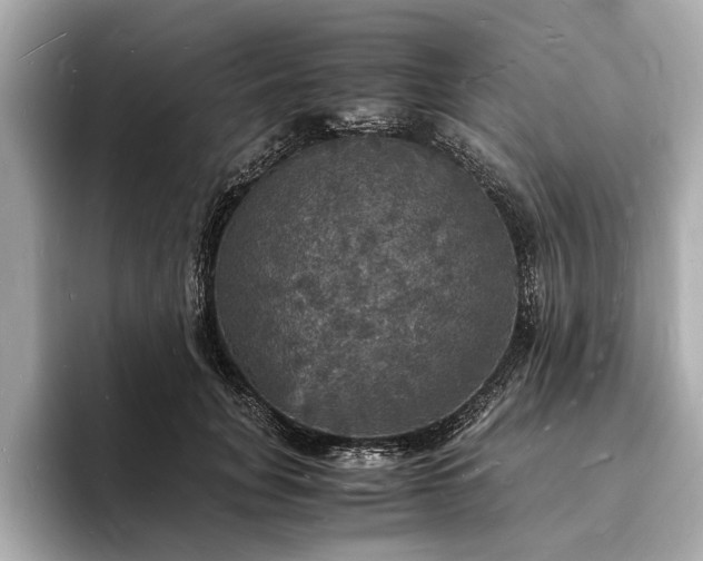 X0000094060751200710261225